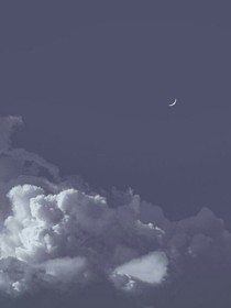 情感铺子