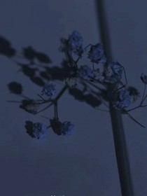 只为错过