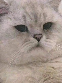成为我的救赎吧