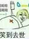 无忧，，，养成小团子