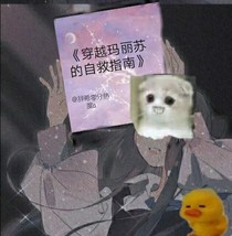 穿越玛丽苏的自救指南