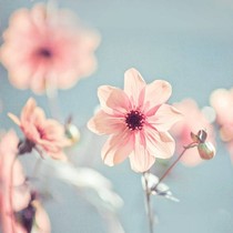 吴小腾与何天宇