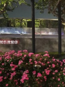 秋葉寒星