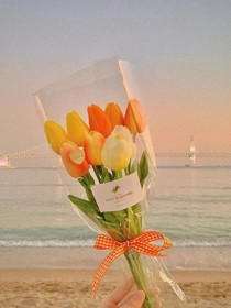 夏季之墨
