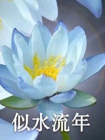 鬼灭之刃：轮路人的自我修养