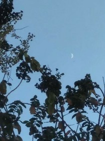 星星铃铛
