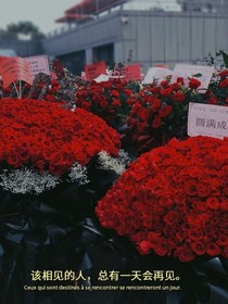 肖战：玫瑰与五号病人