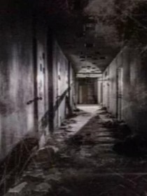 小木屋的秘密