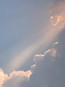 繁叶落南