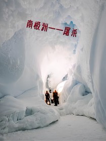 南极洲—屠杀