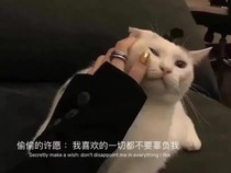 十二星座娃娃店
