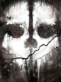 特种兵之幽灵行动-d736