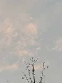 君（待改）