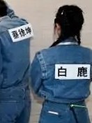 奔跑吧之坤坤的小鹿