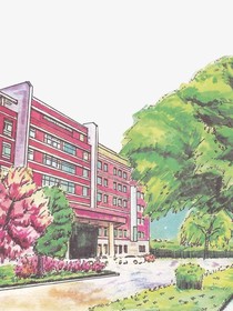 盛夏的光