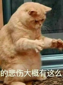 穿越狗粮多了怎么办？