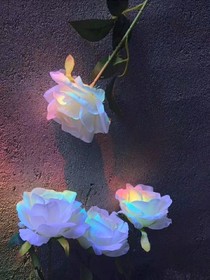 文摘—（原创）
