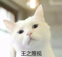 吐槽那些沙雕小说和杂文