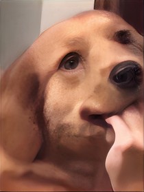 匿名告白