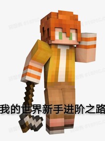我的世界：新手進(jìn)階之路