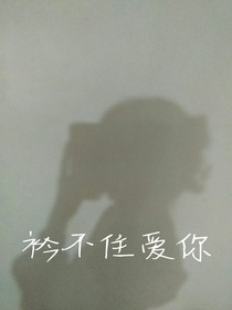 衿不住爱你