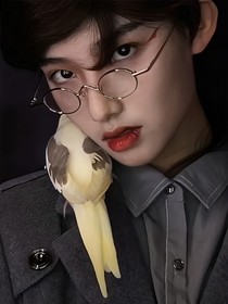 麦克斯韦方程
