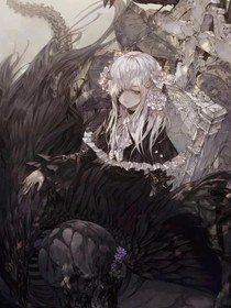 精灵梦之光影