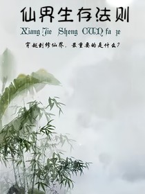 仙界生存法则