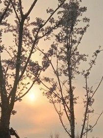 我已经和你结过婚了（翔霖）