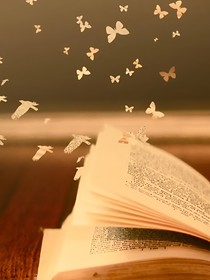 追星及小说语录