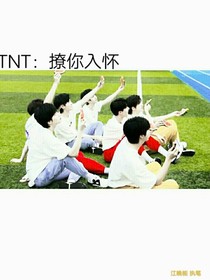 TNT：撩你入怀
