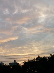 冰紅茶味的夏
