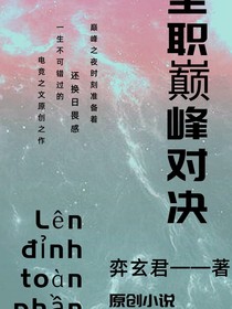 全职巅峰对决