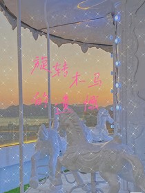旋轉(zhuǎn)木馬的遺憾