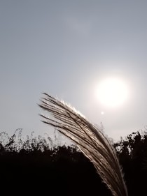 ——后来的我们