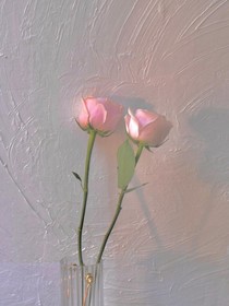 flowers致與你的花