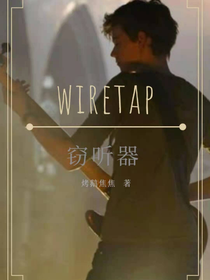 wiretap窃听器-d912