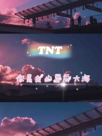 TNT——你是我的星辰大海