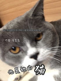 他是她的貓
