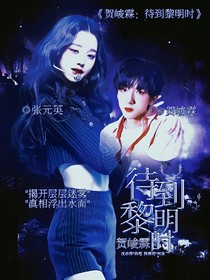 贺峻霖：灰色地带