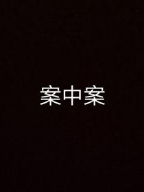 案中案