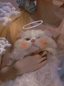 等一个星光