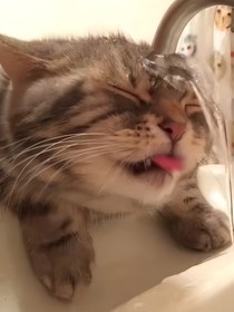 她不喜欢了