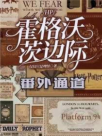 HP：霍格沃茨边际：番外通道