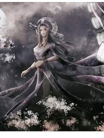 这个是明星的介绍