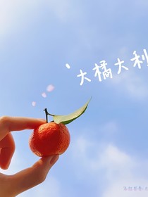 我们的橘子树