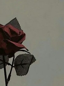 不知不觉的死掉了