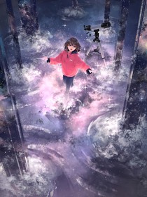 浮岛与鸟