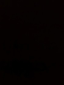 ovoovoovo