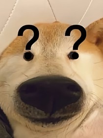 A和A只有一個